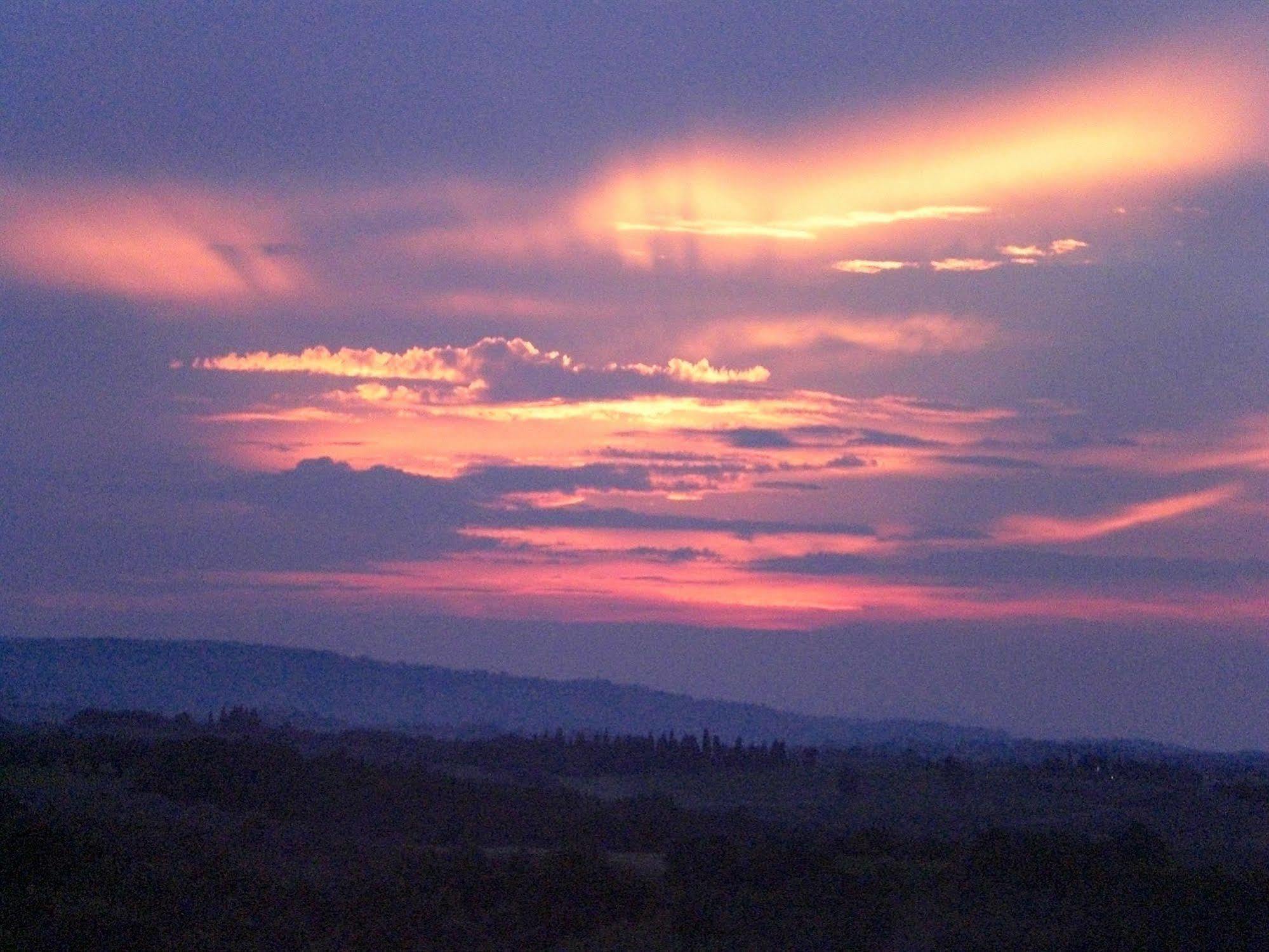 Agriturismo Il Girasole San Gimignano Dış mekan fotoğraf